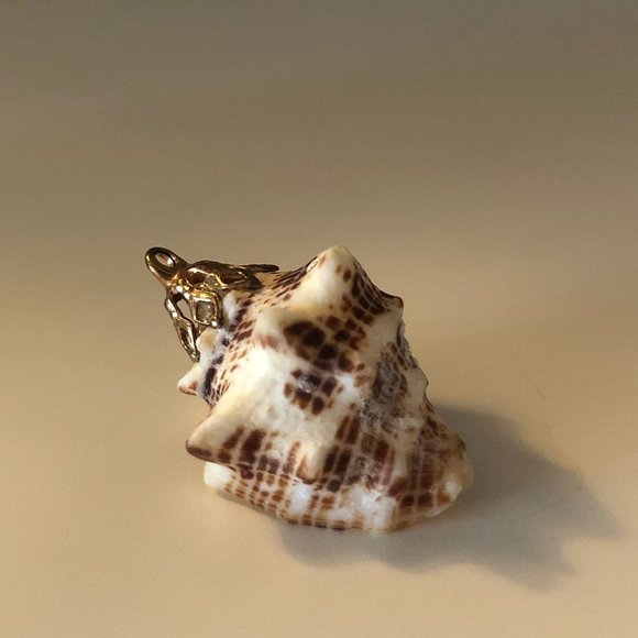 Seashell Pendant with Gold Fascinator for Necklace - Picture 5 of 6